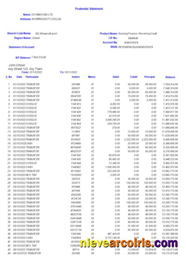 Pakistan ICI bank statement Word and PDF